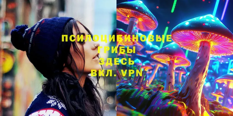 Галлюциногенные грибы Magic Shrooms  купить  цена  Белозерск 